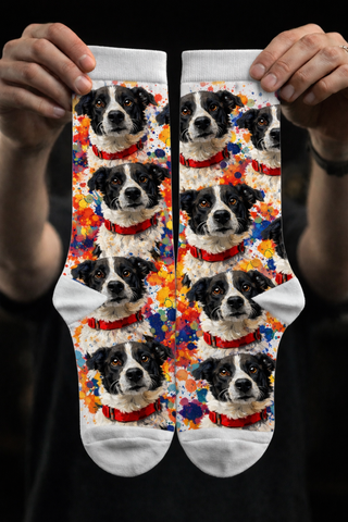 Pet Socks